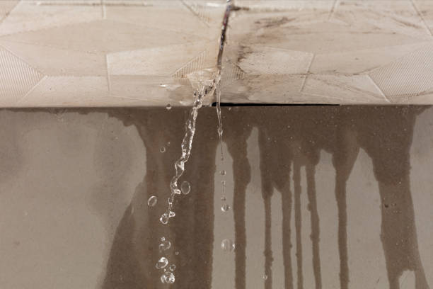 Professional Flood Damage Cleanup technician working in Olean, NY